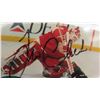 Image 3 : Signed Tim Cheveldae Card