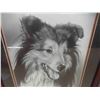 Image 8 : 4 Wood Framed Pictures of Collies - Largest is 14'' x 17''