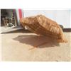 Image 1 : Tiki Umbrella Approx 7ft Across with Tilt