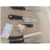 Image 3 : 12 Kitchen Knives 