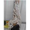 Image 3 : Hammock