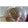 Image 2 : 5 Gallon Carboy