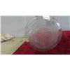 Image 3 : 5 Gallon Carboy
