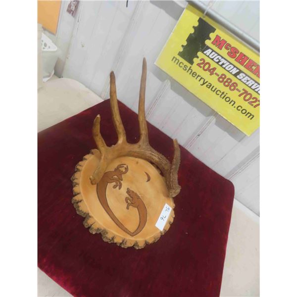Deer Antler Shed Plaque Display