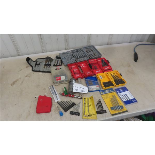 Quantity of Various Drill Bits : Dewalt, Milwaukee, Jobmate, Mastercraft