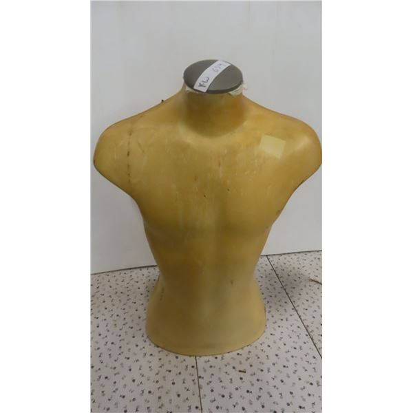 Upper Body Male Mannequin