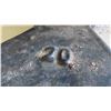 Image 8 : 20lbs Boat Anchor with Lanyard, 2 Boat Seats with Swivel and Mounts
