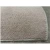 Image 2 : Never-Used Beige Area Rug 60'' x 84'' 