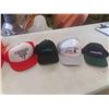 Image 2 : (16) Ball Caps