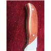Image 8 : 3 Brand New Hunting Knives(USA Steel)