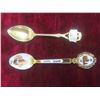 Image 7 : Pins, Collector Spoons , Key Chains , Knives