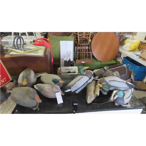 12 Floating Duck Decoys
