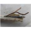 Image 3 : 14/2 House Wire Almost a Full Roll