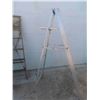 Image 2 : (2) 6' Step Ladders with Paint Trays - 1 Wood , 1 Aluminum 