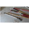 Image 7 : Squeegy, Wash Brushes, Handle Extension, Plus
