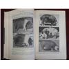 Image 6 : 1952 Raising Swine Book , Rubys Collection Statue of Mother Pig and Her Little Ones