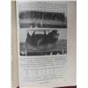 Image 8 : 1952 Raising Swine Book , Rubys Collection Statue of Mother Pig and Her Little Ones