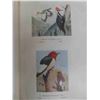 Image 4 : 3 Bird Books: 1934 Birds of Canada  , Sealed Reference Atlas to the Birds of North America , 