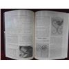Image 5 : 3 Blacksmith Books : 1997 The Complete Modern Blacksmith, 1994 A Resource 