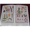 Image 4 : 1956 The Gardeners Bug Book by Cynthia Westcott of the American Garden Guild 