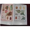 Image 5 : 1956 The Gardeners Bug Book by Cynthia Westcott of the American Garden Guild 