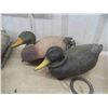 Image 2 : 8 Duck Decoys with Weights in Large Canvas Bag