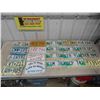 Image 1 : 19 License Plates : Manitoba , Alberta , (5) Michigan, Texas , (3) Fantasy