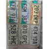Image 2 : 19 License Plates : Manitoba , Alberta , (5) Michigan, Texas , (3) Fantasy