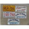 Image 4 : 19 License Plates : Manitoba , Alberta , (5) Michigan, Texas , (3) Fantasy