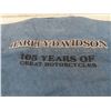 Image 2 : Harley Davidson Denim Shirt Size Large , Boots Size 9