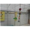 Image 3 : Bird Cage 18 1/4'' x 18 1/4'' x 23''