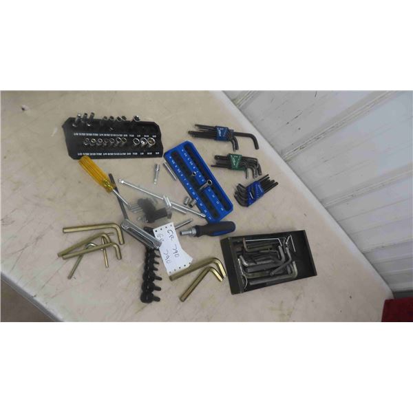 1/4'' Drive Sockets, Extensions, Drivers, Torches, Allen Wrenches