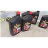 Image 6 : Armorall Tire Shine, Mothers Protectant, Havoline SAE 10W-30 , Mag 