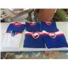 Image 1 : (6) Blank Winnipeg Jets Jersey's Large - Xlarge
