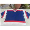 Image 3 : (6) Blank Winnipeg Jets Jersey's Large - Xlarge