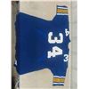 Image 1 : Bombers Jersey Size 48 Game Worn??