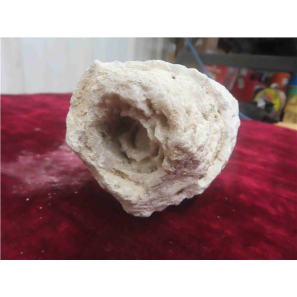 4" Crystalized Geoid Fossil