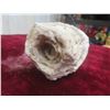 Image 1 : 4" Crystalized Geoid Fossil