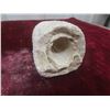 Image 3 : 4" Crystalized Geoid Fossil
