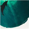 Image 2 : Dolphin in agreen Sea by Wyland Original