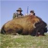 Image 3 : California Buffalo Hunt