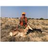 Image 1 : Utah DIY Antelope Doe Hunt