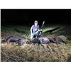 Image 2 : Thermal Hog & Coyote Hunt for 2 Hunters in SW Oklahoma