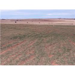 The S/2 of the NE/4 of Sec. 6, Twp. 24 N., R8 W.I.M., Garfield Co., OK.