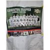 Image 2 : 2004 Edmonton Trapper Baseball Club Poster