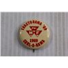 Image 2 : Tractorama 1969 Pin