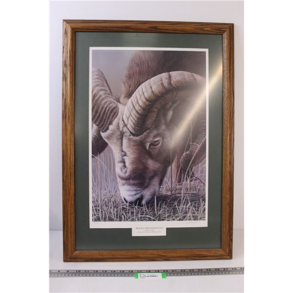 "Rocky Mountain Eye" Framed Print/Picture by David Kilter - 20.5" x 29"