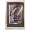 Image 1 : "Rocky Mountain Eye" Framed Print/Picture by David Kilter - 20.5" x 29"