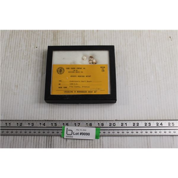 Prehistoric Shell Beads