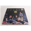 Image 3 : Guns and Roses Appetite for Destruction Vinyl Record